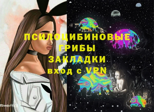 эйфоретик Аркадак