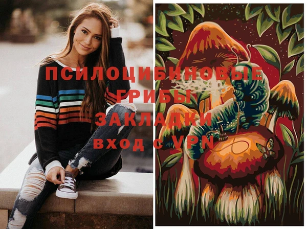 эйфоретик Аркадак
