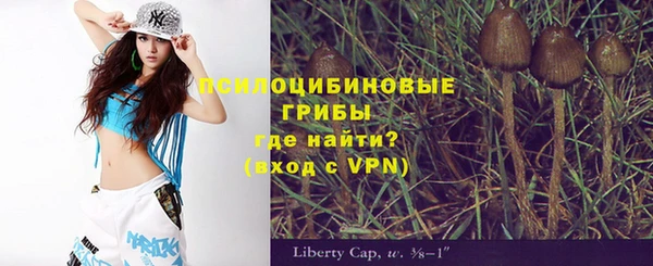 Альфа ПВП Арсеньев